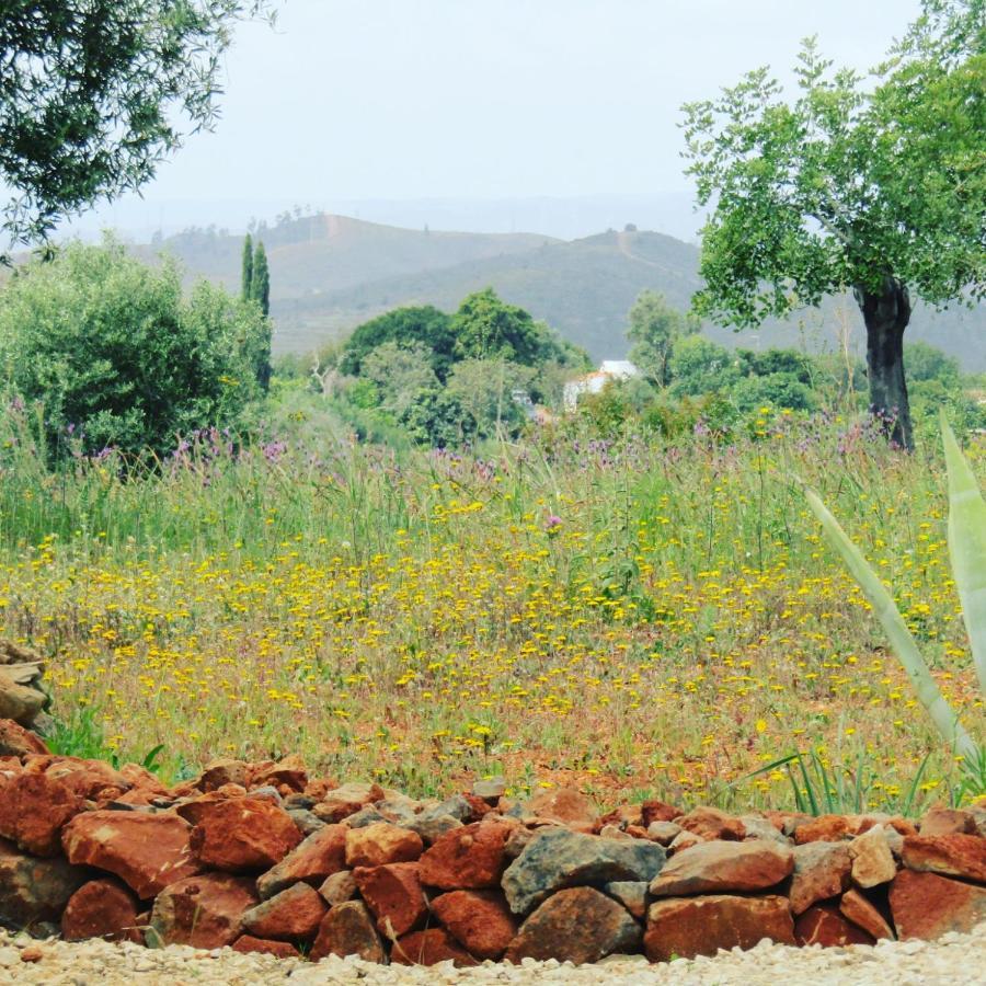 Quinta Das Piteiras-Turismo Rural Silves Luaran gambar